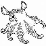 Octopus Engraving sketch template