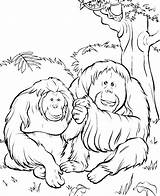 Preschool Orangutans Rainforest Vbs sketch template