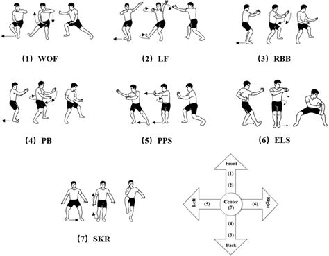 newly compiled tai chi bafa wubu promotes  extremity exercise