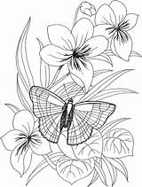 Mariposas Colorpagesformom sketch template