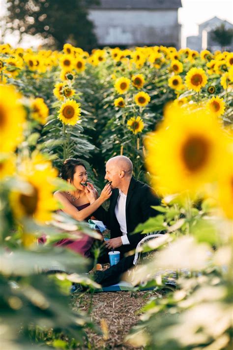 pin by nikki bishop on sunflower couple photos photo scenes