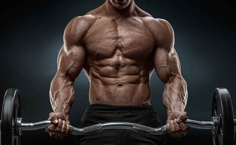 ketogenic diet   shredded  build muscle fitness volt