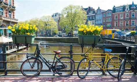 [video] the best things to do in amsterdam