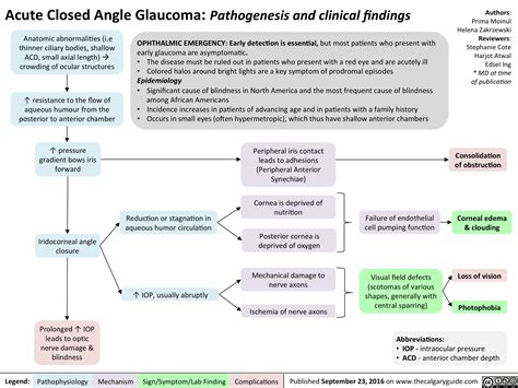 acute closed angle glaucoma pathogenesis  clinical findings
