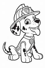Paw Patrol Coloring Pages Marshall Printable Collection Colouring sketch template