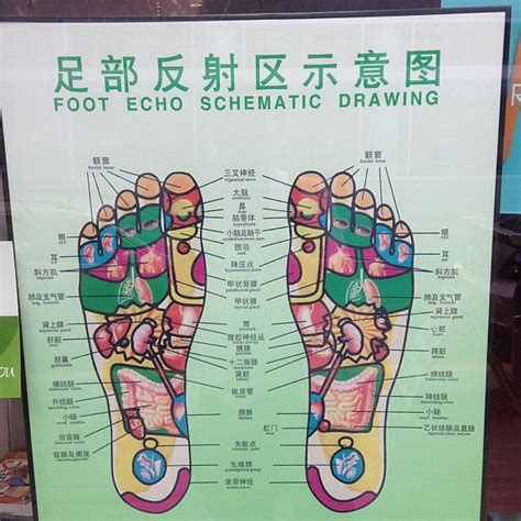 foot echo schematic diagram gary stevens flickr