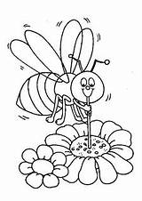Nectar Bee Insetti Colorir Nettare Stampare Succhia Abelhas Pages2color Insects Coloradisegni Riscos Fondamentale Componente Divertiti Ecosistemi Postar Giordano Cassandra sketch template
