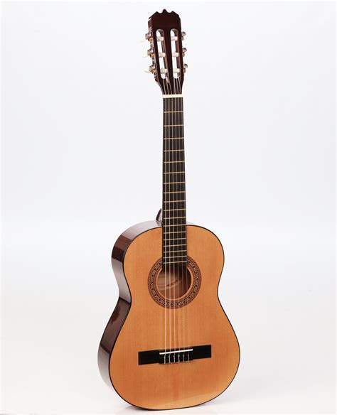 beginner acoustic guitar sunlite gcn  san marino  center