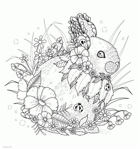 adult coloring books rabbits coloring pages