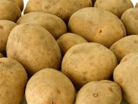 gemuese kartoffel kaufen landwirtcom
