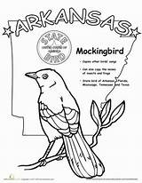 Arkansas Coloring State Bird Worksheets Designlooter Worksheet Grade 389px 95kb sketch template
