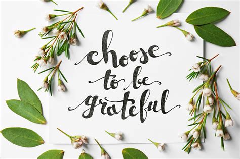 gratitude habit  boost  positivity success