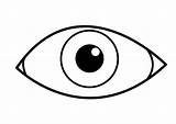 Auge Oeil Coloriage Malvorlage Fargelegge Bilde Para øye Ojo Kleurplaten Colorear Oog Dessin Ausmalbild Ojos Un Ogen Infobilder Oye Knutselen sketch template