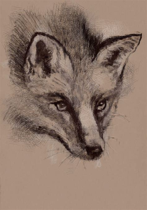 fox drawing easy ideas  pinterest cute easy animal