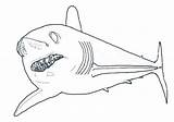 Mako Shark Coloring Pages 428px 25kb sketch template