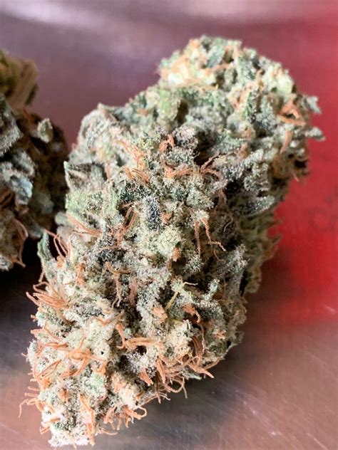 cherry pie strain info cherry pie weed by ilgm growdiaries