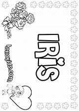 Iris Coloring Pages Color Roses Print Getcolorings Names Printable Hellokids Online sketch template