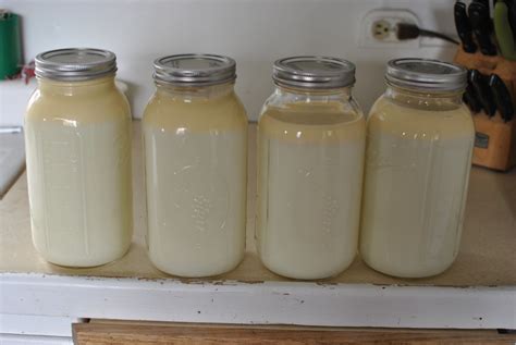 butter step  step guide  pictures raw milk tips