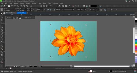 removing  background  images  coreldraw  photo paint