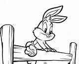 Bunny Bugs Baby Coloring Pages Cartoon sketch template