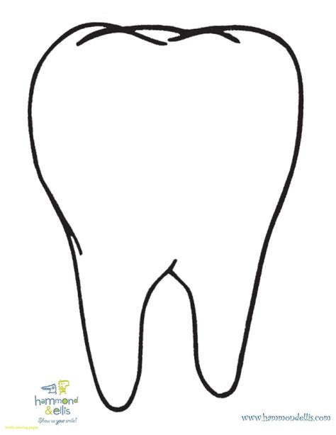 tooth coloring pages ready  print teeth pictures teeth clip