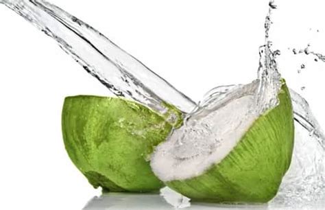drinking coconut water during pregnancy pros and cons