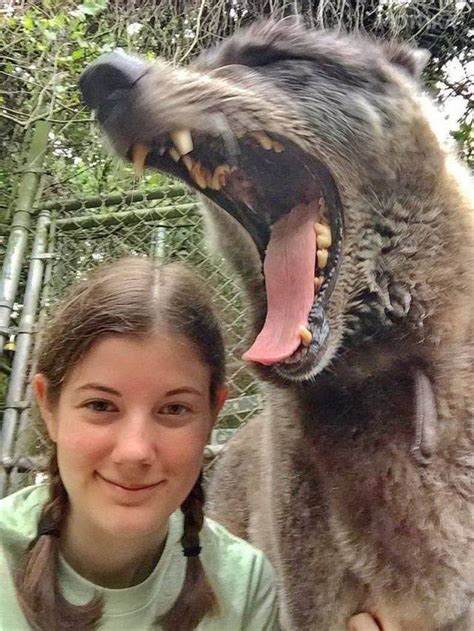 20 people who took a strange selfie and the whole internet loved it