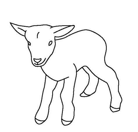 nubian goat coloring pages coloring pages
