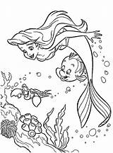 Ariel Coloring Mermaid Little Pages Kids Print Color Cartoon Girls Coloringtop sketch template