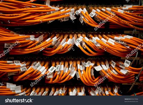 image  internet router network connectors stock photo  shutterstock