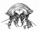 Isopod Coloring 2218 01kb sketch template