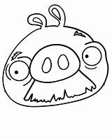 Angry Birds Coloring Pages Pigs Getdrawings Pig sketch template
