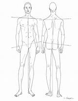 Proportion Neal Männer Lamont Anatomie sketch template