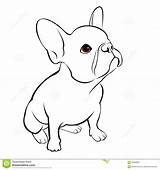 Bulldog Drawing French Cute Dog Puppy Animal Illustration Vector Pet Dogs Grey Breed Stock Drawings Line Beagle Puppies Tattoo Choose sketch template