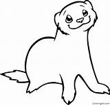 Ferret Coloringall sketch template