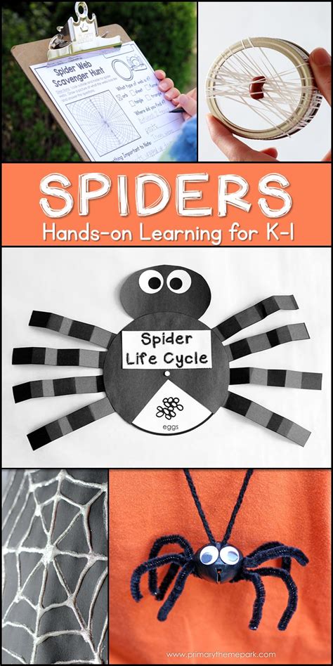 spider unit  kindergarten   grade primary theme park