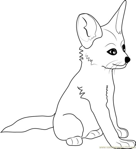 anime fennec fox coloring pages