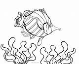 Fish Coloring Pages Realistic Aquarium Ocean Cool Printable Getcolorings Getdrawings Tank Drawing sketch template