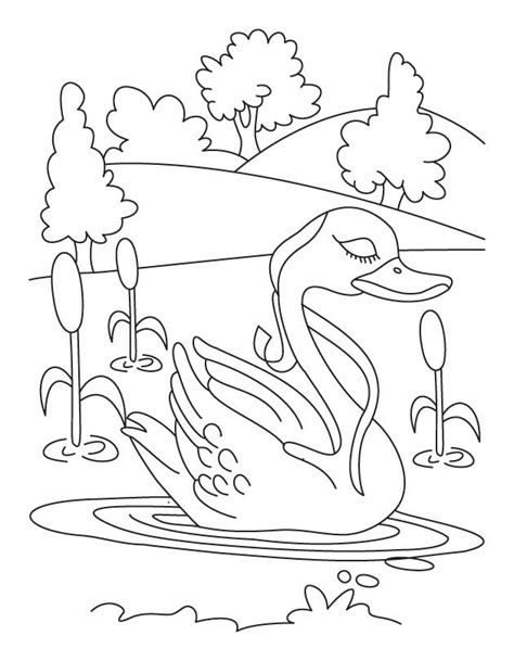 swan  lake coloring page   swan  lake coloring page
