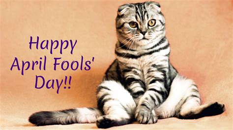 april fools day images funny jokes      whatsapp stickers