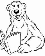 Bear Coloring Pages Colouring Colour Kids Coloringpages1001 Animal Big sketch template