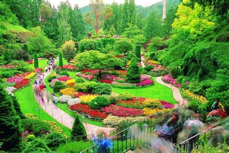 kumpulan gambar taman bunga  indah  inspiratifblog bunga