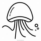 Medusa Jellyfish Stampare Ultracoloringpages sketch template