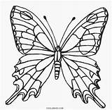 Schmetterling Ausdrucken Papillon Schmetterlinge Mandalas 1021 Cool2bkids Pinclipart Verwandt Kinderbilder Malvorlagen Bestof Mariposas sketch template