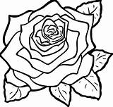 Coloring Flower Rose Pages Wecoloringpage sketch template