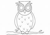 Burung Hantu Sketsa Kolase Hewan Mewarnai Narmadi Belajar sketch template