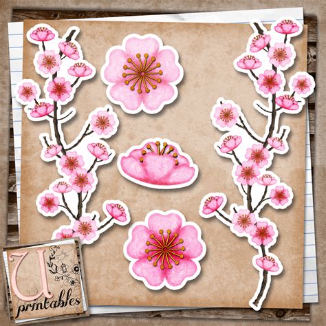 rebeccab designs  printable cherry blossom
