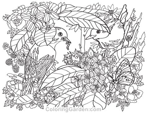 birds  flowers adult coloring page