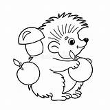 Hedgehog Outline Coloring Cartoon Mushrooms Apples Book Kids Stock Preview sketch template