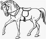 Caballos Dibujos Publicado sketch template